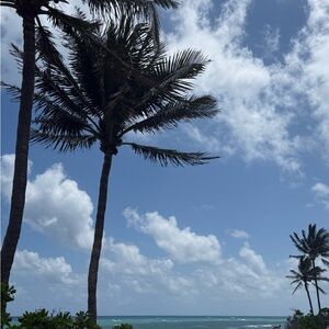 Meet your Posher, Hanna